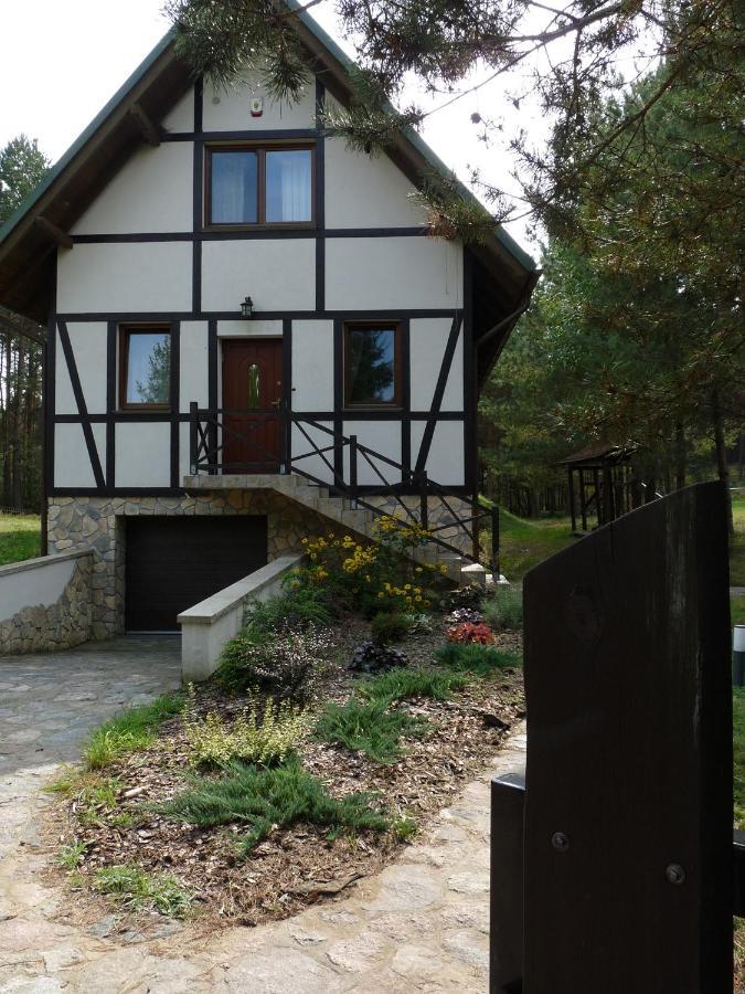 Vila Radunska Ostoja Dziemiany Exteriér fotografie