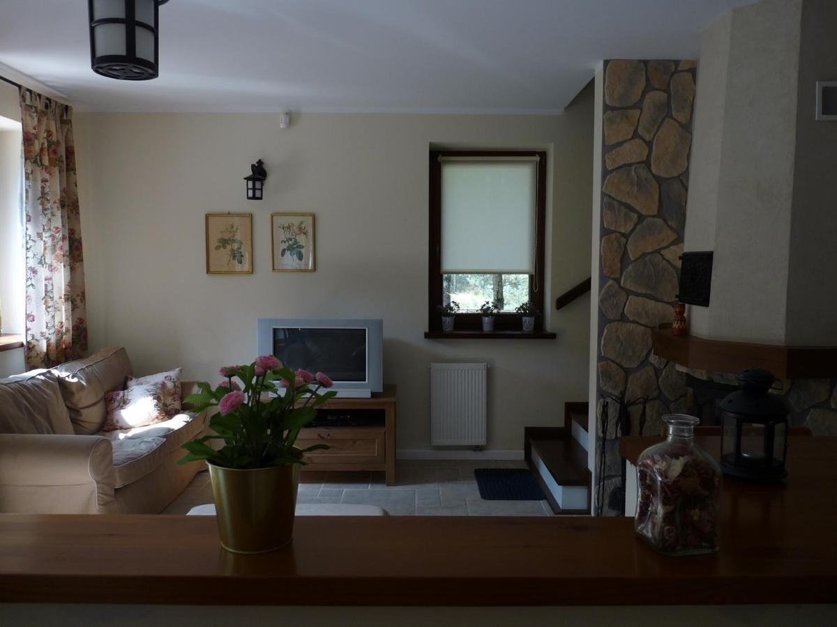 Vila Radunska Ostoja Dziemiany Exteriér fotografie